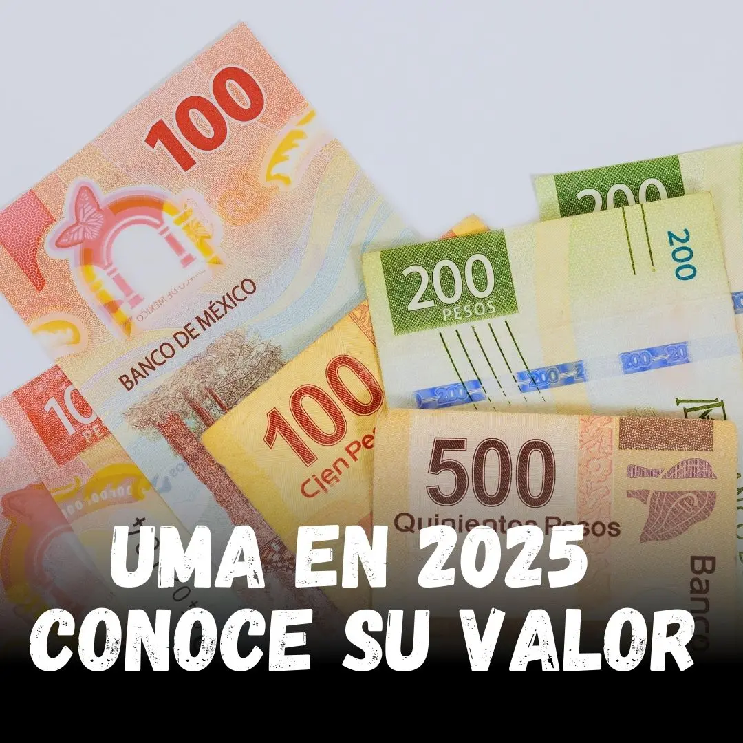 La UMA en 2025 es de 113.14 pesos