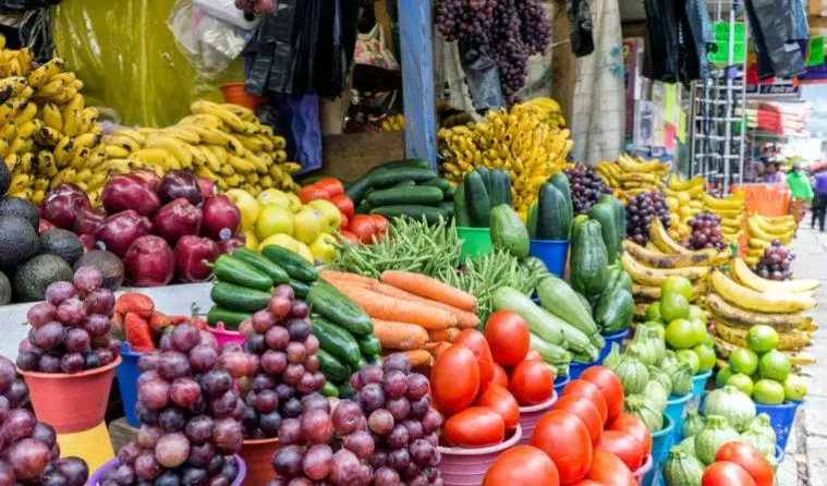 Pequeños comercios sustentables