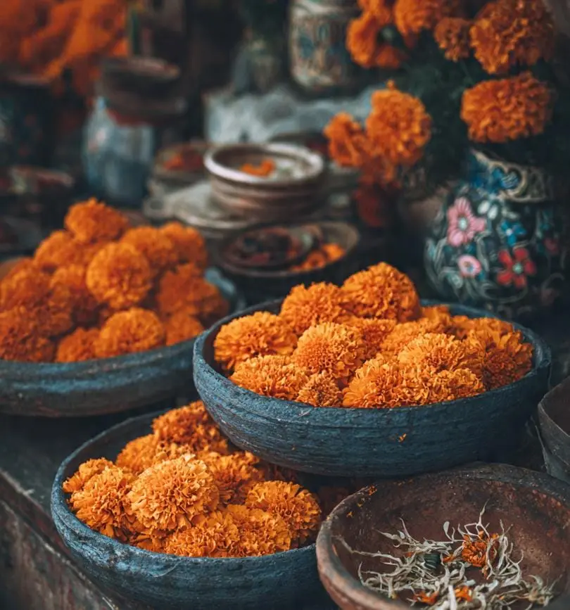 día de muertos
