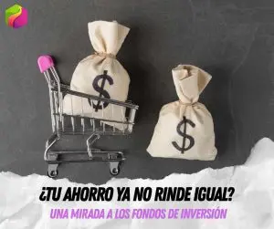 Los fondos de inversión, así funcionan