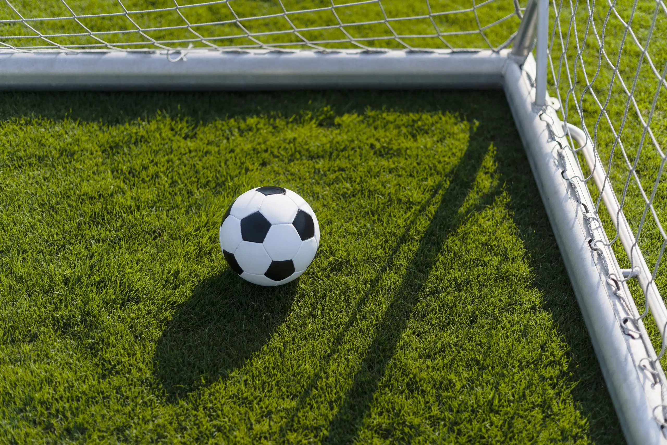 seguros deportivos