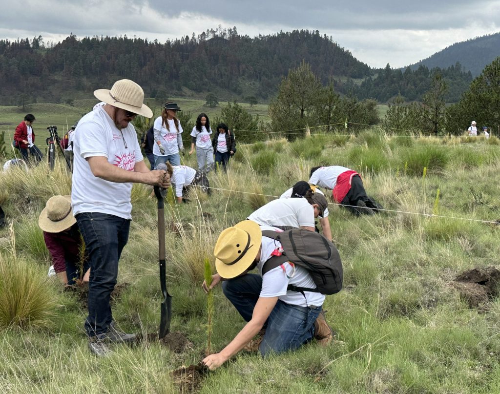 En el marco del Día del Árbol trabajadores de Compartamos Banco reforestaron de forma voluntaria más de 2,000 árboles.