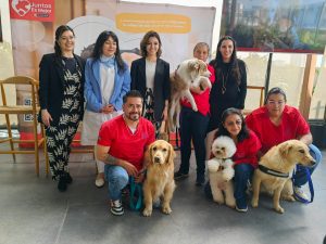 Perritos ayudan con terapias