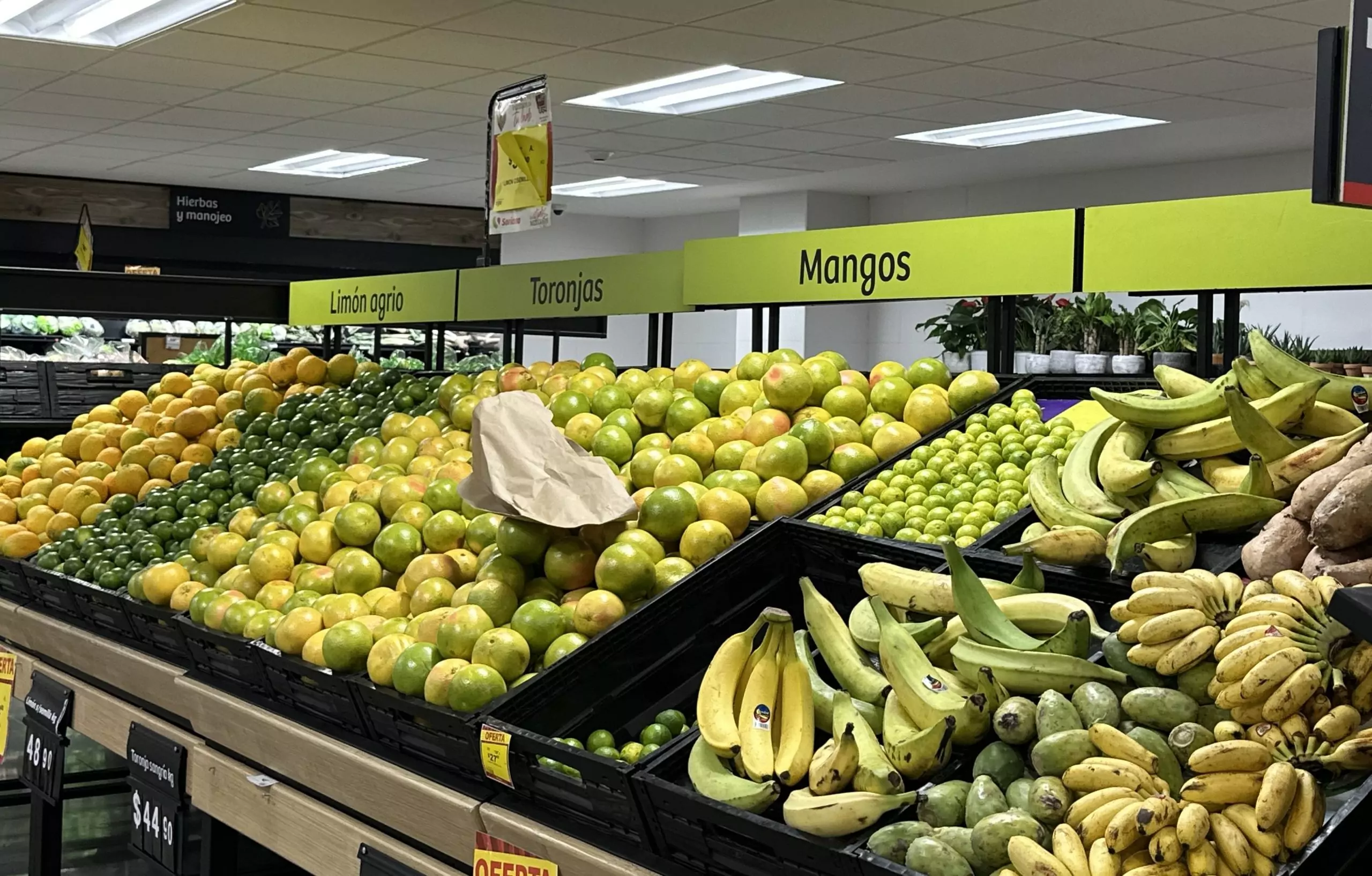 La inflación vuelve a bajar, se reporta disminución en la primera quincena de marzo