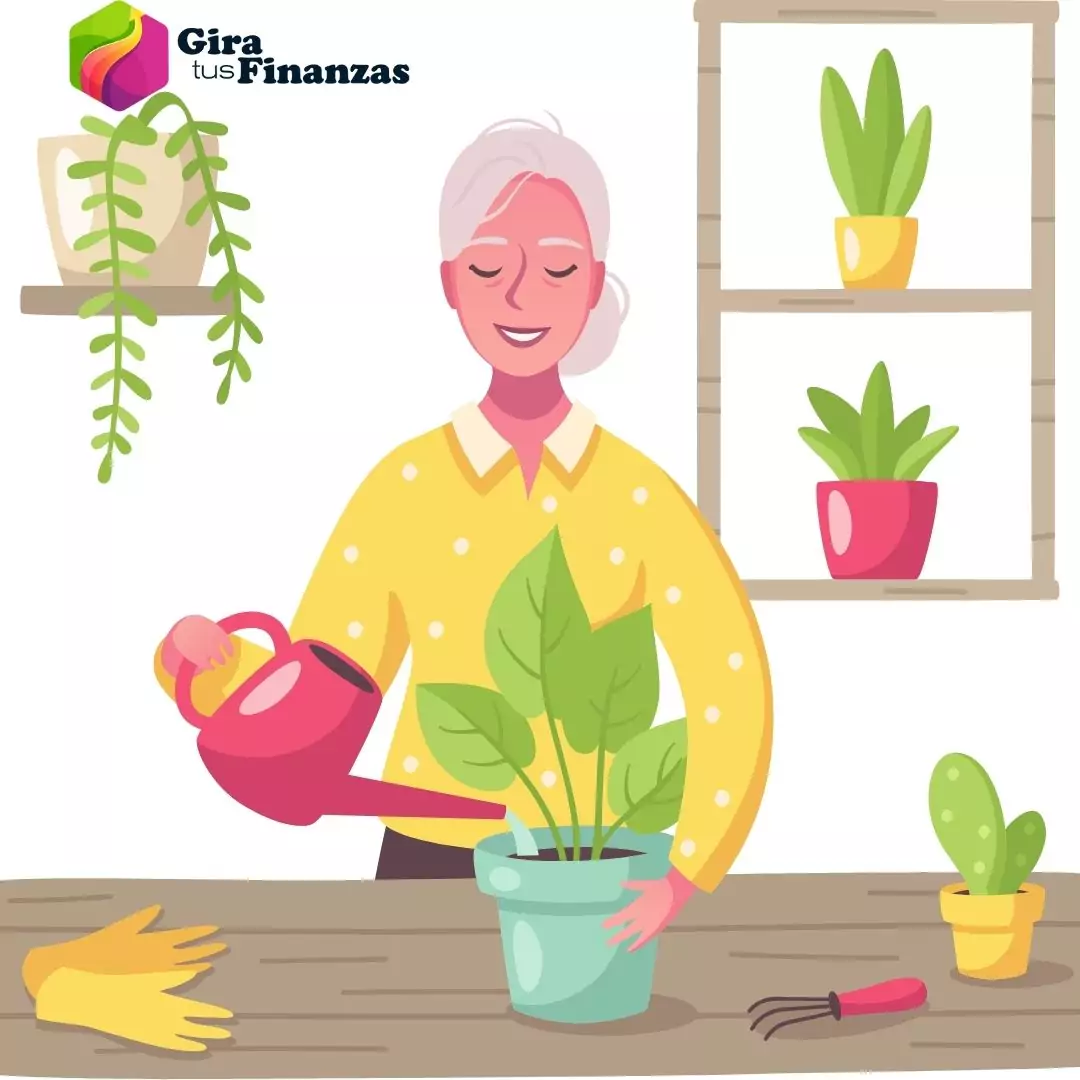 Festival del adulto mayor