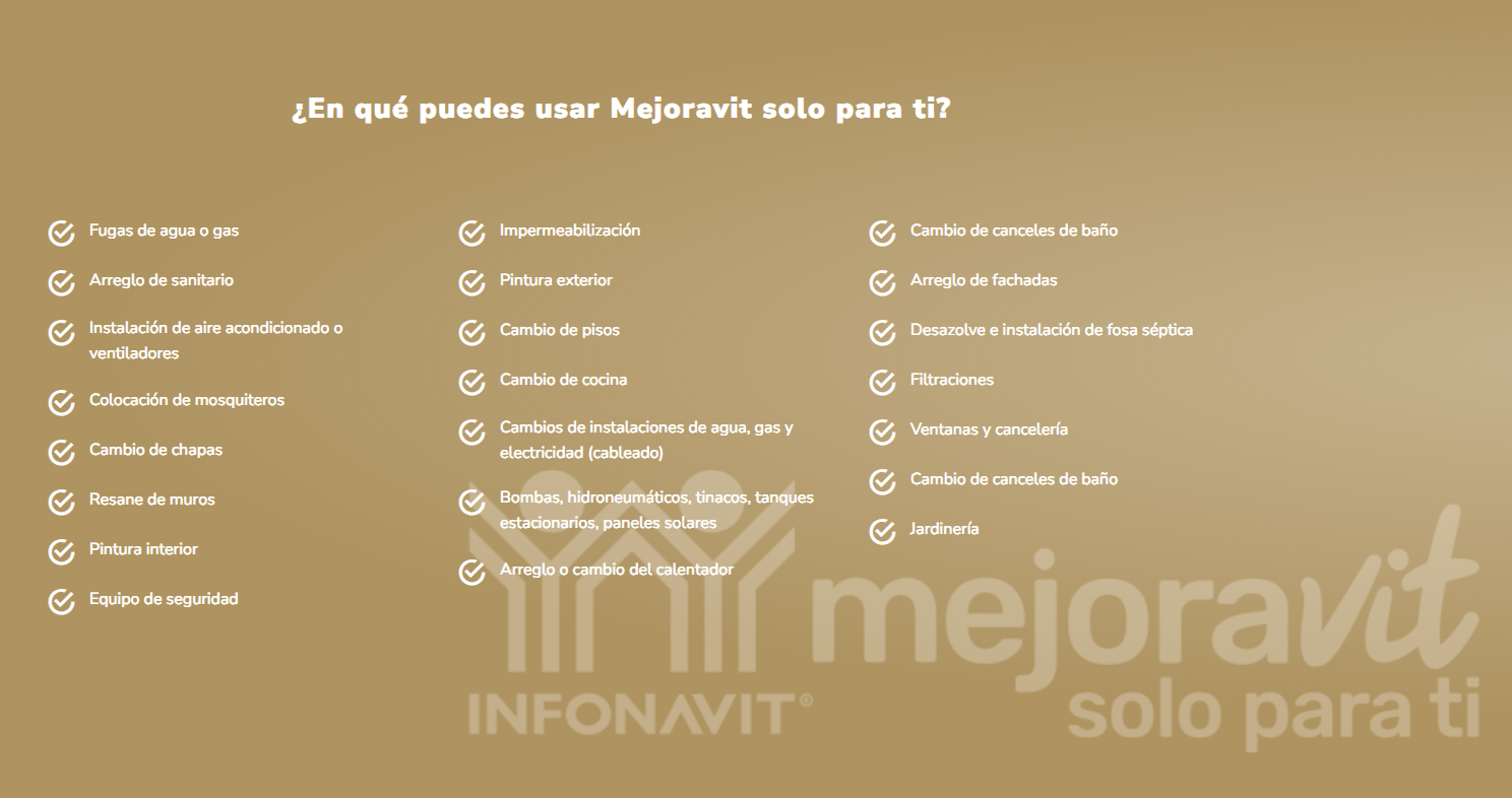 Evita fraudes y saca el mayor provecho de Mejoravit