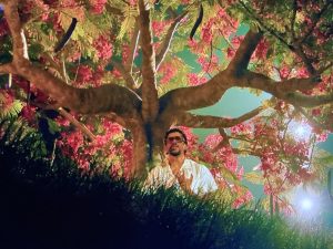 Bad Bunny impulsa a tarjetas de créditos en Banamex