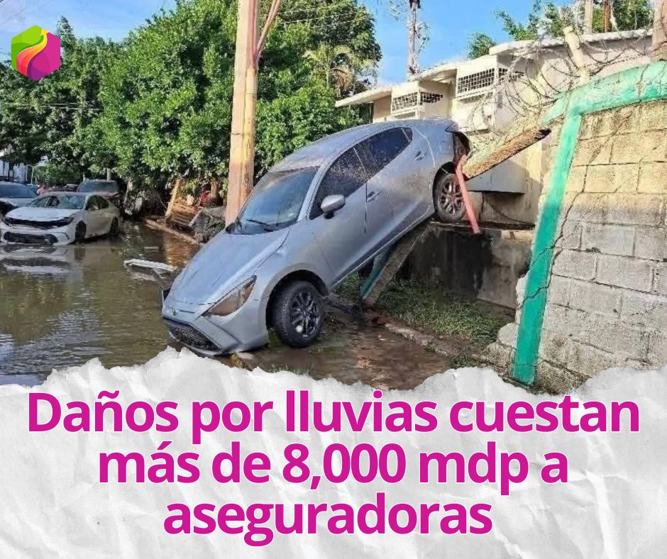 Imagen de automóvil con daños por las lluvias recientes