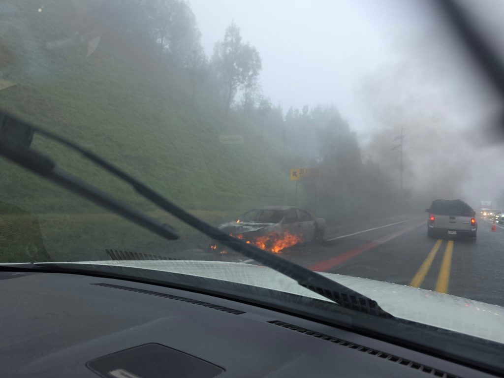 Robo de autos asegurados